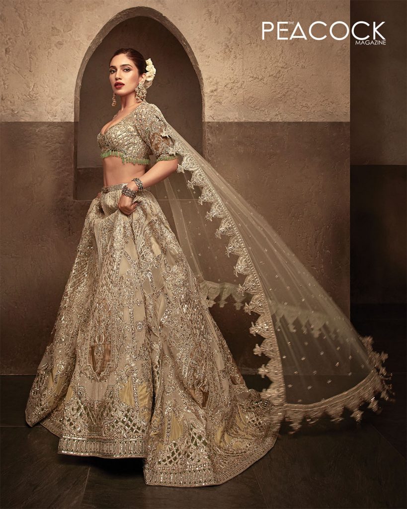 Bhoomi pednekar - Silver beige-3