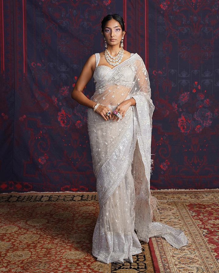 PAULINA SILVER heavy SAREE